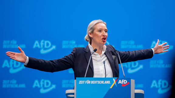 Der elitäre Hintergrund: Erinnern Sie die Leser daran, dass sie eine mandarinsprachige Ökonomin ist, die für Goldman Sachs gearbeitet hat – kaum das typische Profil einer „populistischen“ Rebellin…..